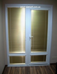 venus_40
