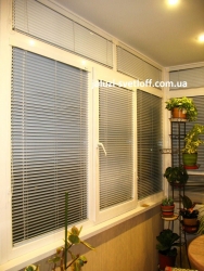 venus_57