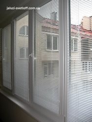 venus_41