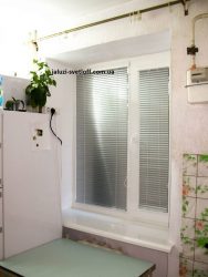 venus_94